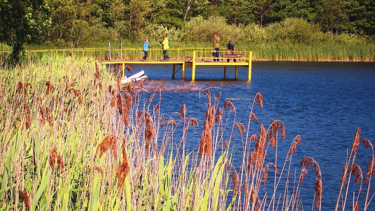 AreaSummer1KM AreaSummer1KM